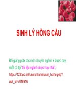 SINH lý HỒNG cầu và NHÓM máu ppt _ SINH lý