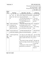 GIÁO ÁN CHỦ ĐỀ NGHỀ NGHIỆP