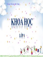 KH - Các chất dinh dưỡng có trong thức ăn