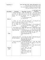 Kế hoạch giáo dục tuần 17: Động vật sống trong rừng