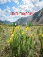 Tiếng Anh 8 - Tiết 13 - Unit 2 lesson 5 Skills 1