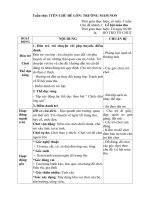 GIÁO ÁN PHỤ TUẦN 1- LỄ HỘI MÙA THU- 2019-2020