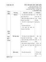 giáo án tuần 20 : chim và côn trùng - năm học 2018-2019