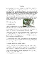 Kỹ thuật nuôi cá Sấu - Thư viện Học tập cộng đồng - Trung tâm Thông tin - Thư viện điện tử