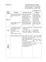 KH tuần 12 ( năm học 2018 -2019) Các nghề phổ biến quen thuộc