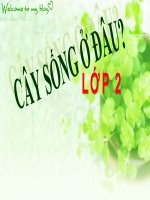 TN&XH lớp 2 - Tuần 24: Cây sống ở đâu? | Tiểu học Khương Mai