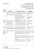 Giáo án tuần 10