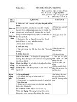 GIÁO ÁN PHỤ TUẦN 1- NGÀY HỘI ĐẾN TRƯỜNG