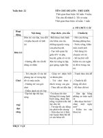 KH Tuần 22 (2018-2019) Tết và mùa xuân