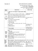 giáo án phụ tuần 10