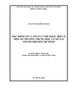 Luận văn tốt nghiệp đặc điểm xúc cảm của trẻ khác biệt ở một số trường trung học cơ sở tại thành phố hồ chí minh