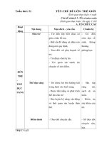 Giáo án tuần 21 :Tết và mùa xuân : Năm học 2019 - 2020