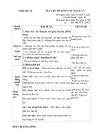 GIÁO ÁN PHỤ TUẦN 20- NGÀY TẾT QUÊ EM