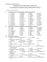 Nội dung ôn tập các môn Khối 8 (Số 2) trong thời gian học sinh nghỉ học để phòng tránh dịch COVID-19