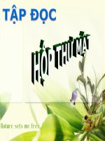 Tuần  24 TĐ: Hộp thư mật