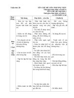 Kế hoạch giáo dục tuần 28