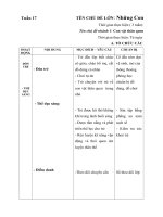 Giáo án tuần 17- Con vật thân quen trong gia đình