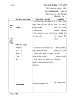 giáo án tuần 21- Ngày tết trên quê em- 2018-2019