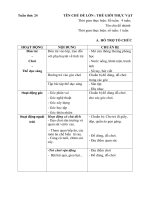 Tuần 24 ( Tuần phụ) chủ đề: Thế giới thực vật.