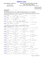 Đề thi đại học môn Tiếng Nhật khối D năm 2009 và đáp án | dethivn.com