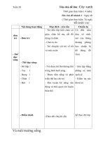 GIÁO ÁN TUẦN 20- NGÀY TẾT QUÊ EM