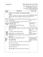 GIÁO ÁN PHỤ TUẦN 22- HOA QUẢ BÉ THÍCH