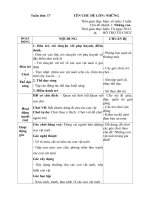 GIÁO ÁN PHỤ TUẦN 17- ĐV NUÔI TRONG GIA ĐÌNH