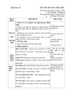 giáo án phụ tuần 20- Chim và côn trùng- 2018-2019