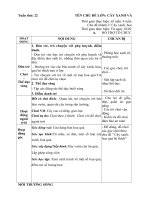 giáo án phụ tuần 22- Cây xanh hoa quả bé thích- 2018-2019