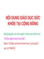 NỘI DUNG GIÁO dục sức KHỎE tại CỘNG ĐỒNG ppt _ TRUYỀN THÔNG GIÁO DỤC SỨC KHỎE