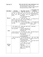 Kế hoạch giáo dục tuần 21: Động vật sống trong gia đình (Năm học 2019 - 2020)