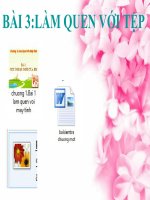 Chủ đề 1: Bài 3 Làm quen với tệp | Tiểu học Dương Quang