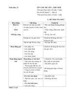 KHPH tuần 23 (2018-2019) Một số loại rau - quả