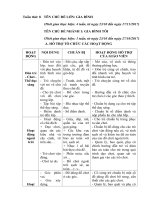 Giáo án phụ tuần 8: Chủ đề nhánh 1 