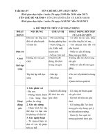 giáo án tuần 7(tuần phụ) Chủ đề: Bản thân