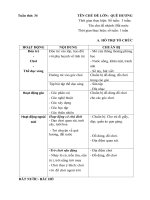 Giáo án tuần 34 ( tuần phụ) Chủ đề :Quê hương- Đất nước- Bác Hồ