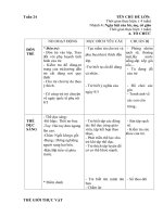 giáo án tuần 24 ngày hội của bà mẹ cô giáo