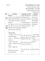 GIÁO ÁN TUẦN 21- CÂY XANH