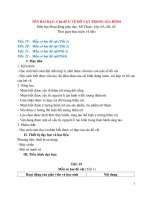 Giáo án mĩ thuật 6 kì 2 soạn 5 hoạt động cv 5512 mới (soạn theo chủ đề) mới nhất