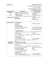 GA phụ tuần 12 Nghề sản xuất