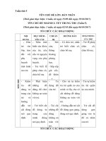 giáo án tuần 5: Chủ đề: Tết trung thu