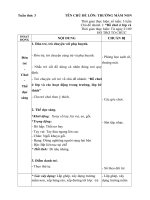 Giáo án phụ tuần 3