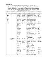 Tuần 13 các cô các bác trong trường mầm non của trẻ