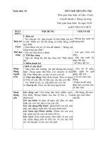 giáo an phụ tuần 18 năm học 2017-2018