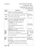 giáo án phụ tuần 24 CĐ TGTV nhánh 4