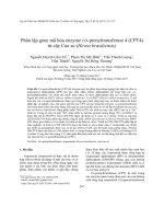 Phân lập gene mã hóa enzyme cis-prenyltransferase 4 (CPT4)  từ cây Cao su (Hevea brasiliensis)