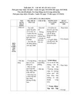 Giáo án chủ đề bé lên mẫu giáo . Tuần 34: Các hoạt động của bé trong nhóm lớp