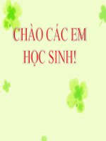 Tuần 19: Đạo đức: Kính trọng và biết ơn người lao động(T1)