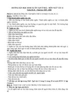 Ôn tập Ngữ văn khối 11 tuần 20-21