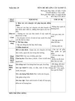 GIÁO ÁN PHỤ TUẦN 20- CÂY XANH